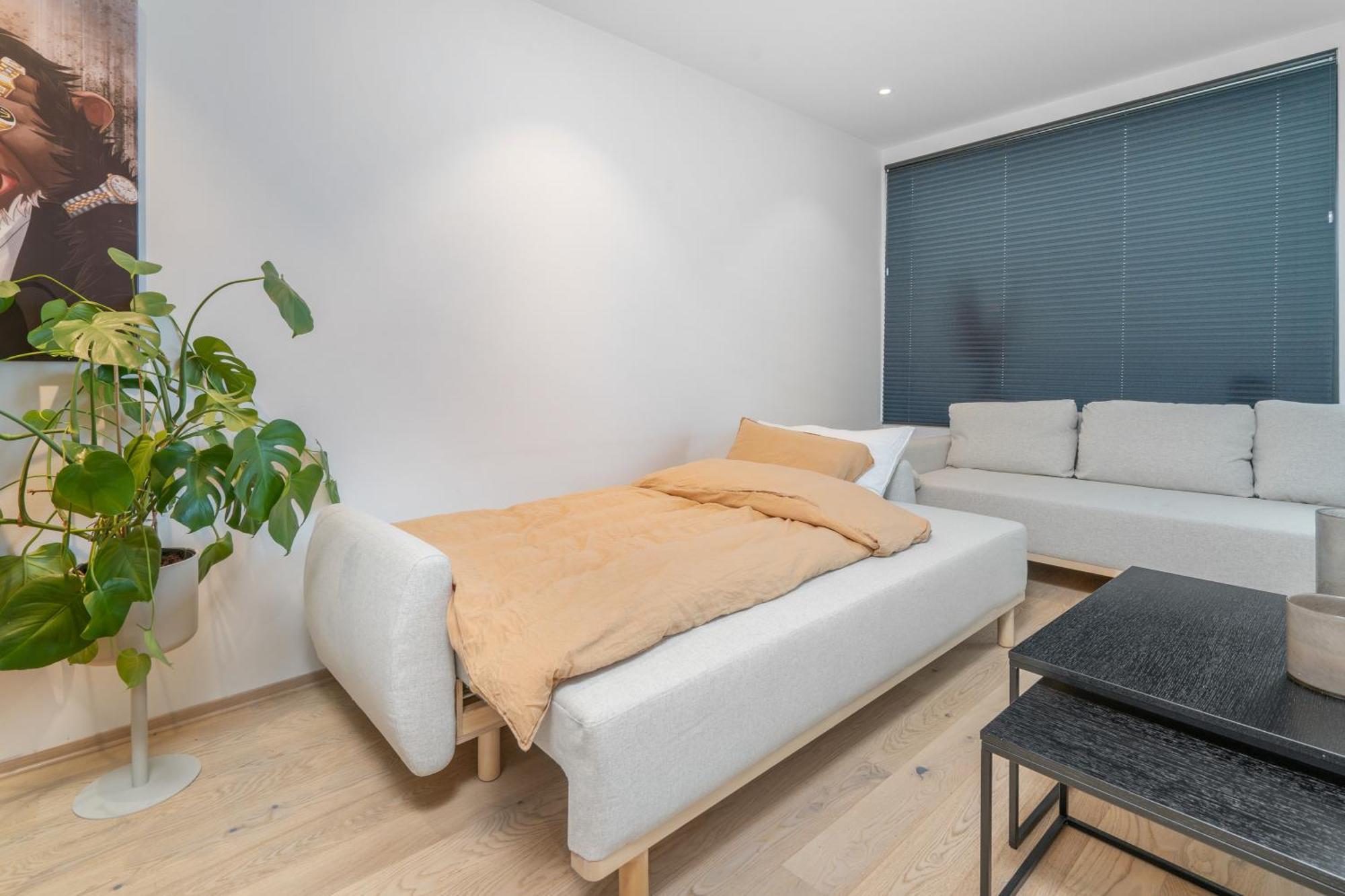 Monkey Business In Kings Park Apartment Τρόμσο Εξωτερικό φωτογραφία
