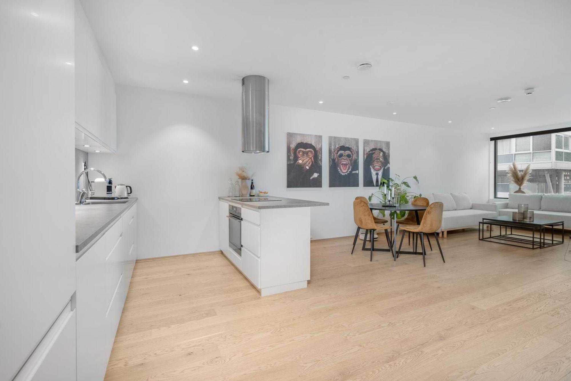 Monkey Business In Kings Park Apartment Τρόμσο Εξωτερικό φωτογραφία